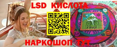 гидра Гусев