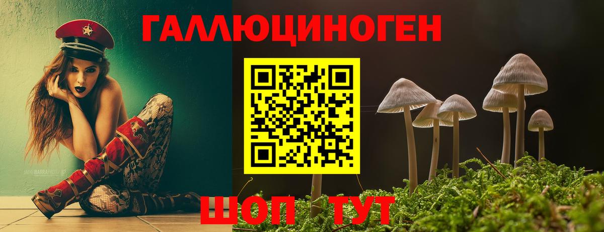 Галлюциногенные грибы мухоморы  Вход с VPN  купить закладку  Заринск 